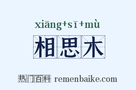 相思木是什么意思的图片
